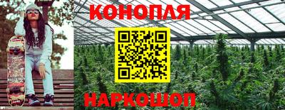 ECSTASY Будённовск
