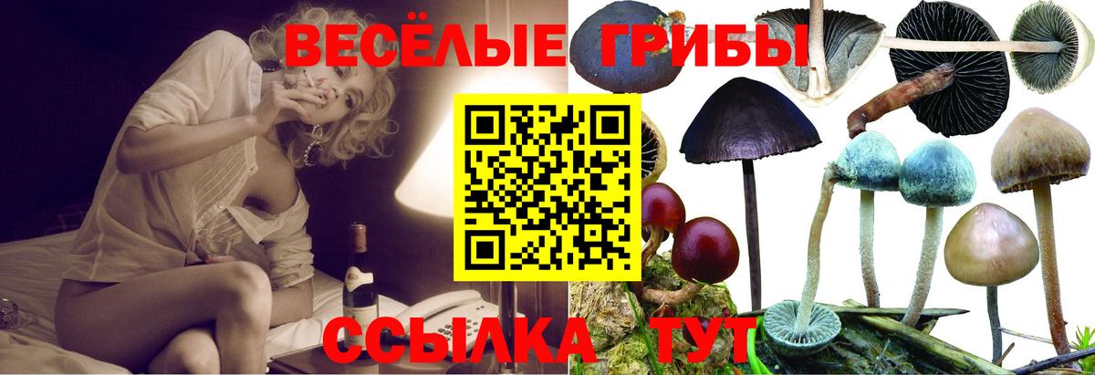 Псилоцибиновые грибы прущие грибы  Вход с VPN  Рузаевка 